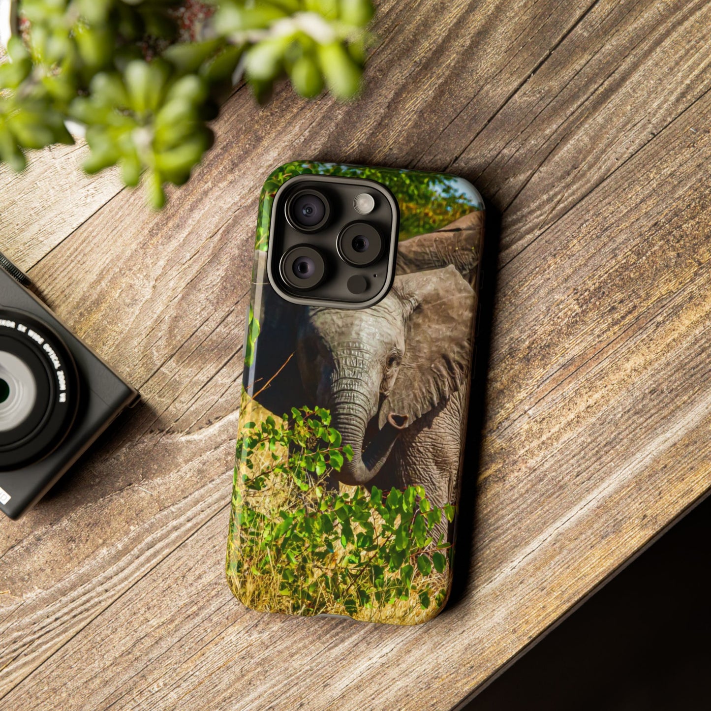 Tough Case - Young Elephant