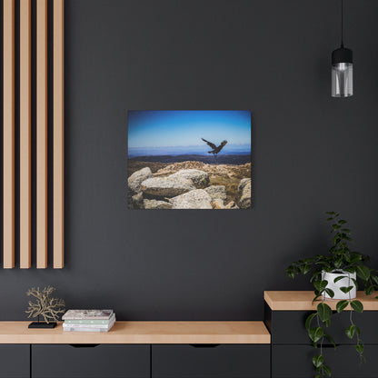 Little Raven Mt Kosciuszko Canvas Print