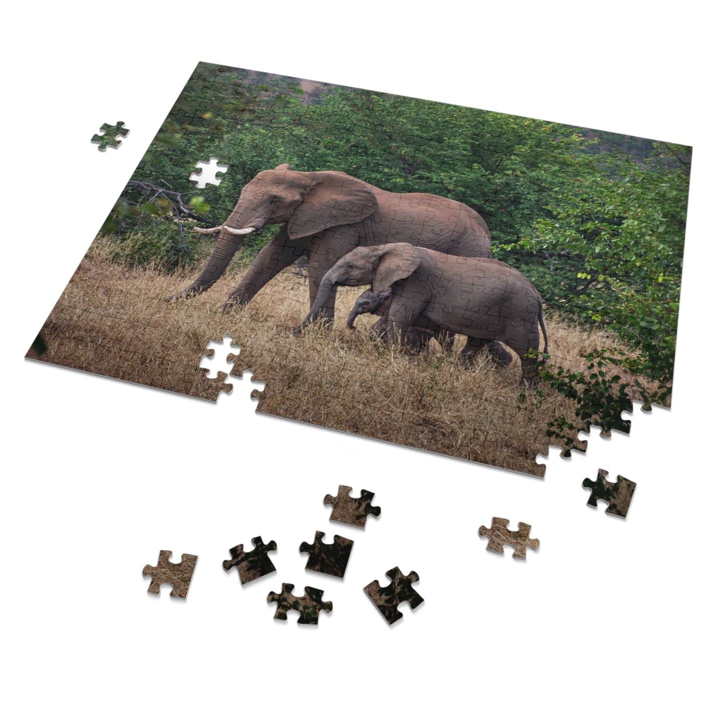 Jigsaw Puzzle (30, 110, 252, 500, 1000 Piece) - Elephant Family