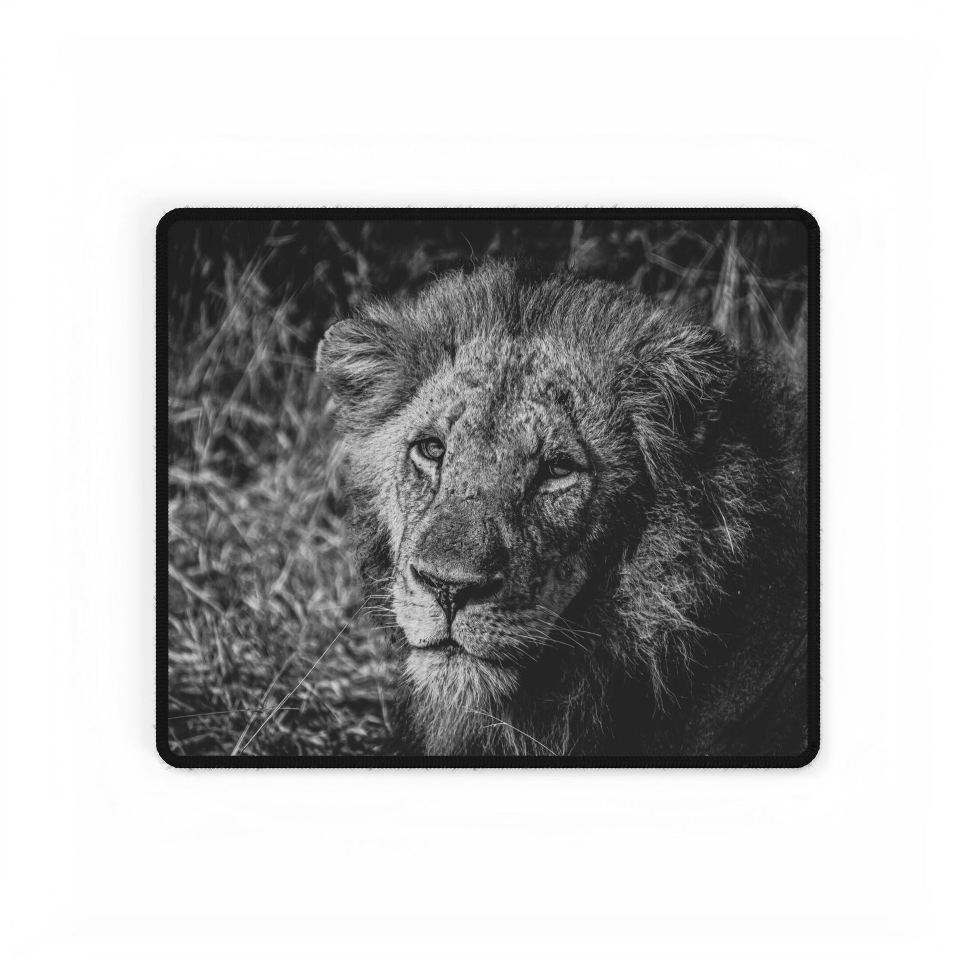 Majestic Old Lion Desk Mats B&W 14.4" × 12.1"