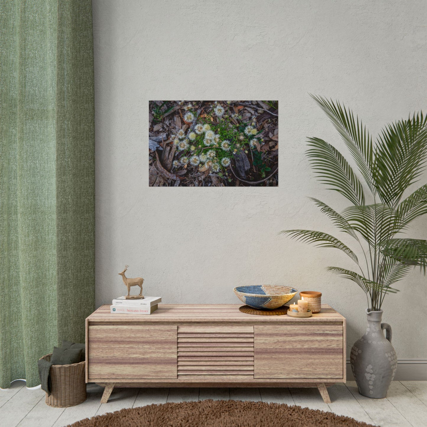 Rolled Posters - Australian Wildflower Collection