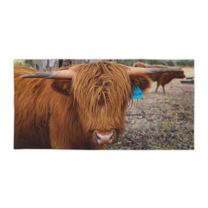 Beach Towels - Scottish Highland Cattle