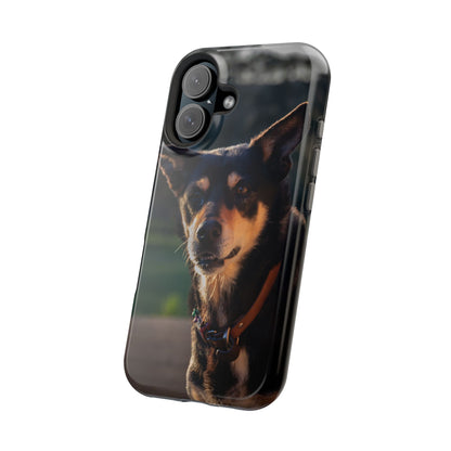 Magsafe® Compatible Tough Cases - Saba The Kelpie