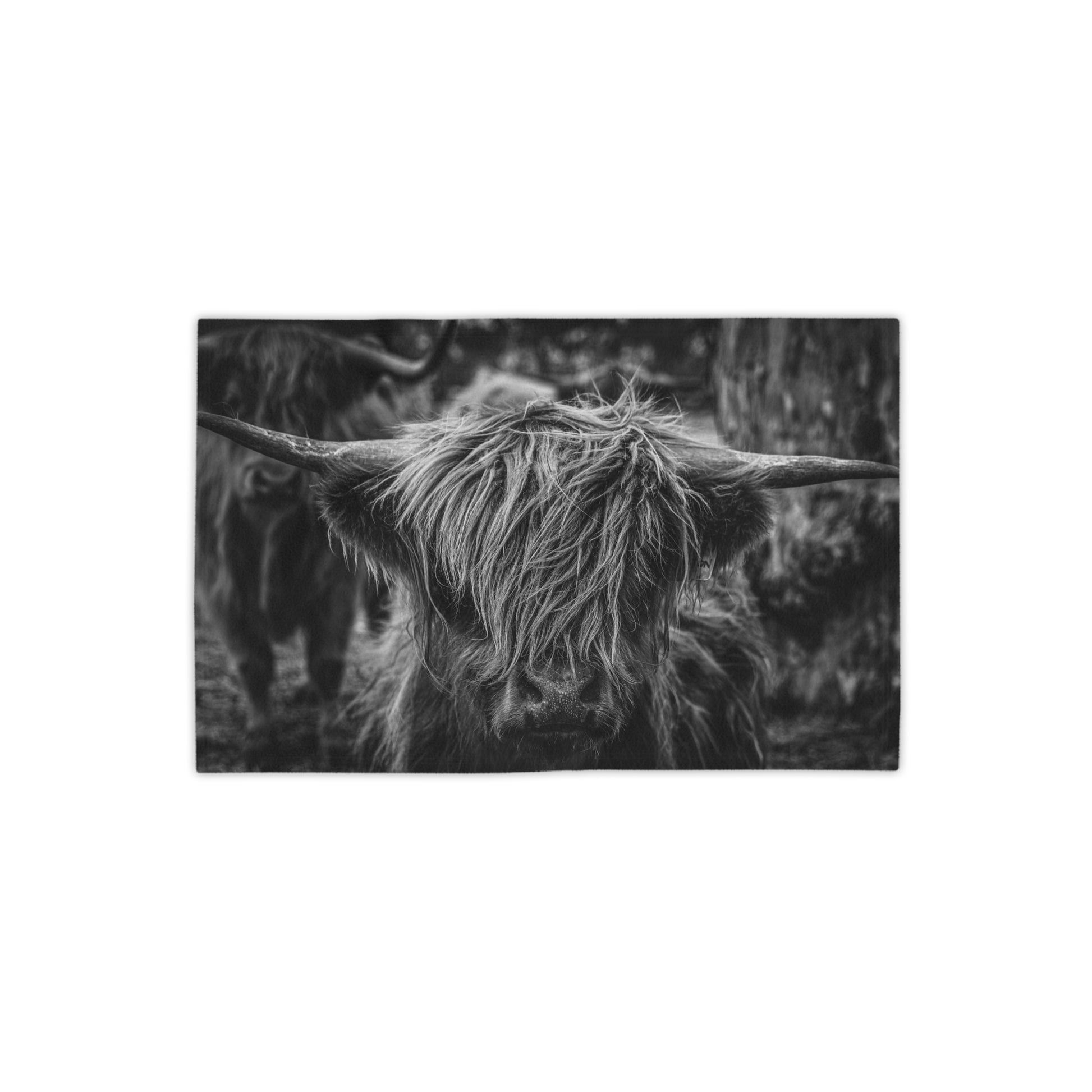 Scottish Highland Beach Towels B&W