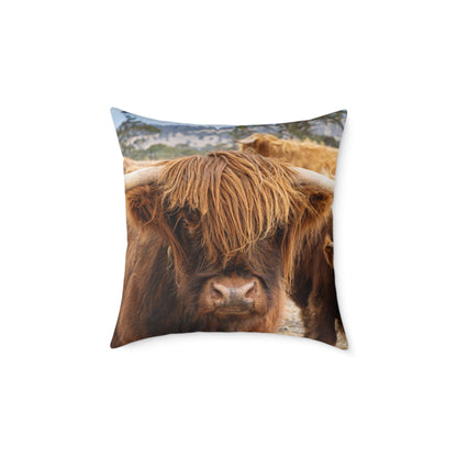 Highland Cattle Pillow 20" × 20"