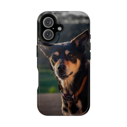 Magsafe® Compatible Tough Cases - Saba The Kelpie iPhone 16 Glossy