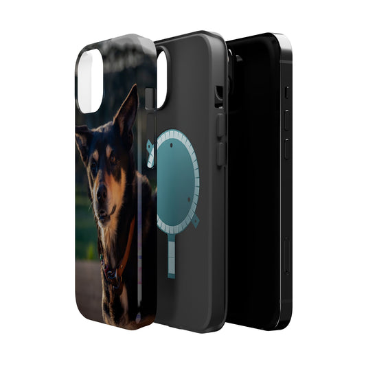 Magsafe® Compatible Tough Cases - Saba The Kelpie iPhone 14 Glossy