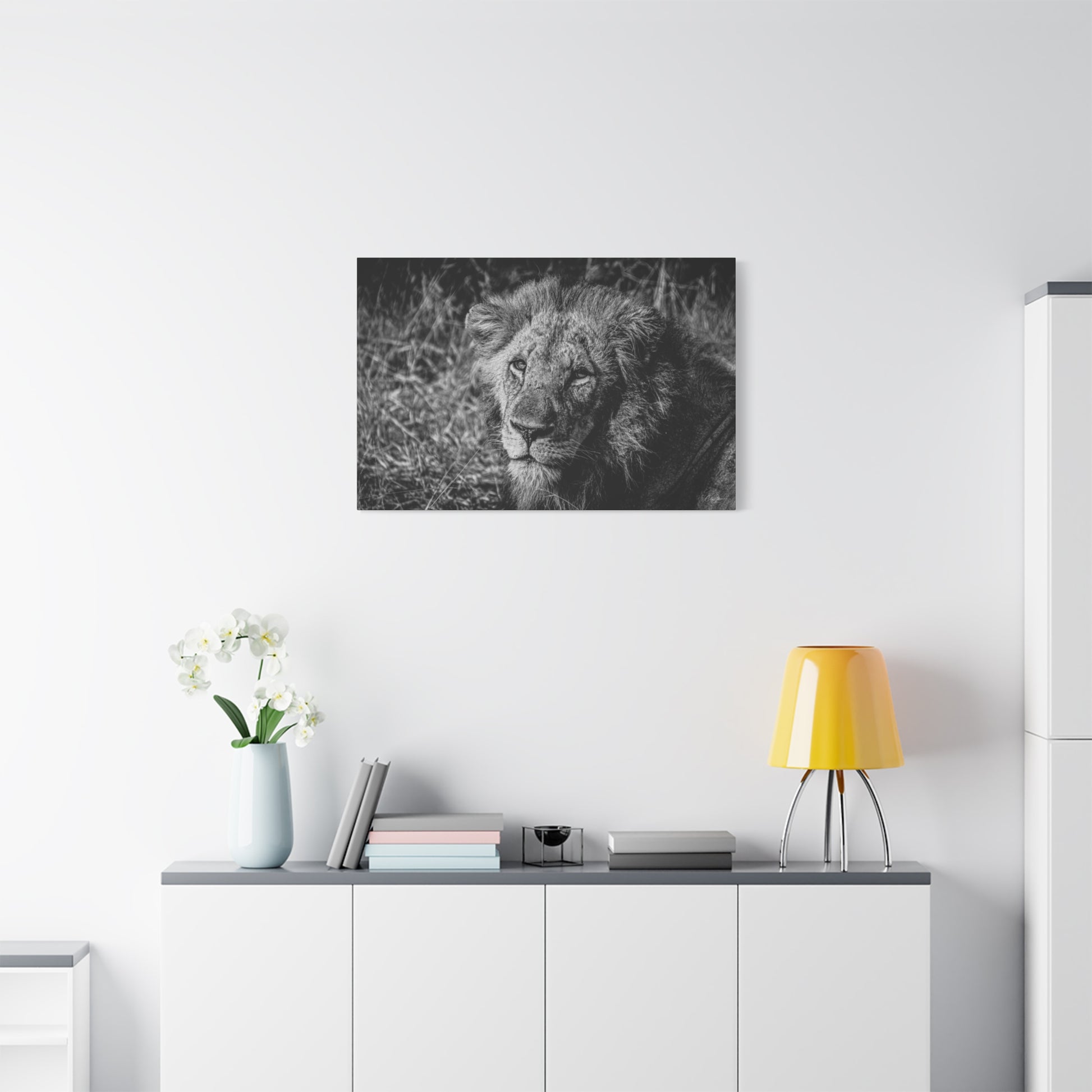 Old Lion Canvas Print B&W