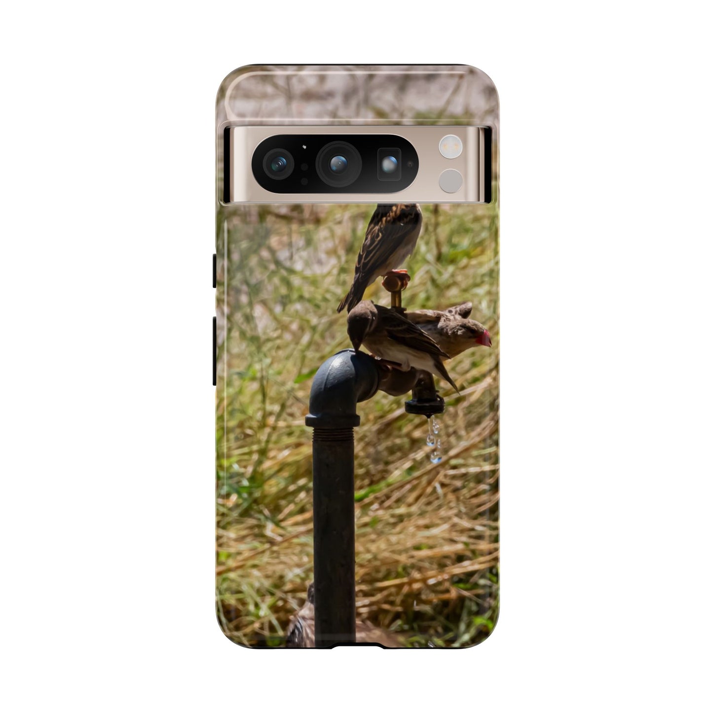 Tough Case - Birds at A Dripping Tap Google Pixel 8 Pro Glossy