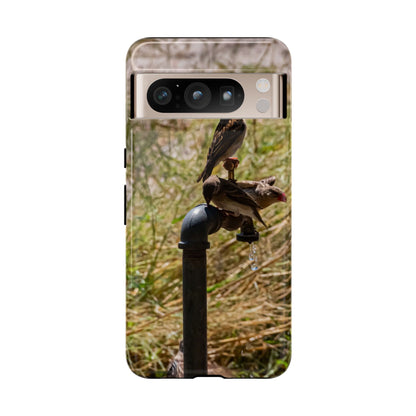 Tough Case - Birds at A Dripping Tap Google Pixel 8 Pro Glossy