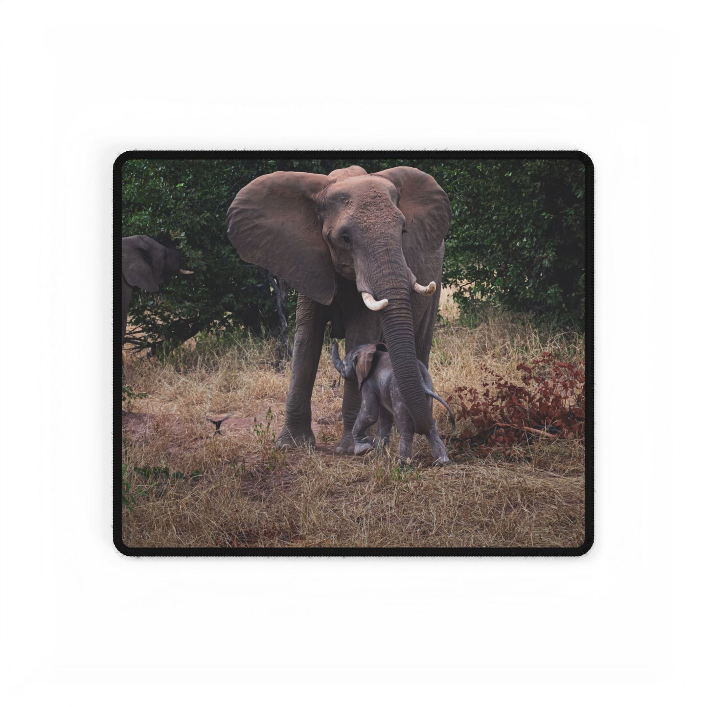 Desk Mats - Elephant and Calf