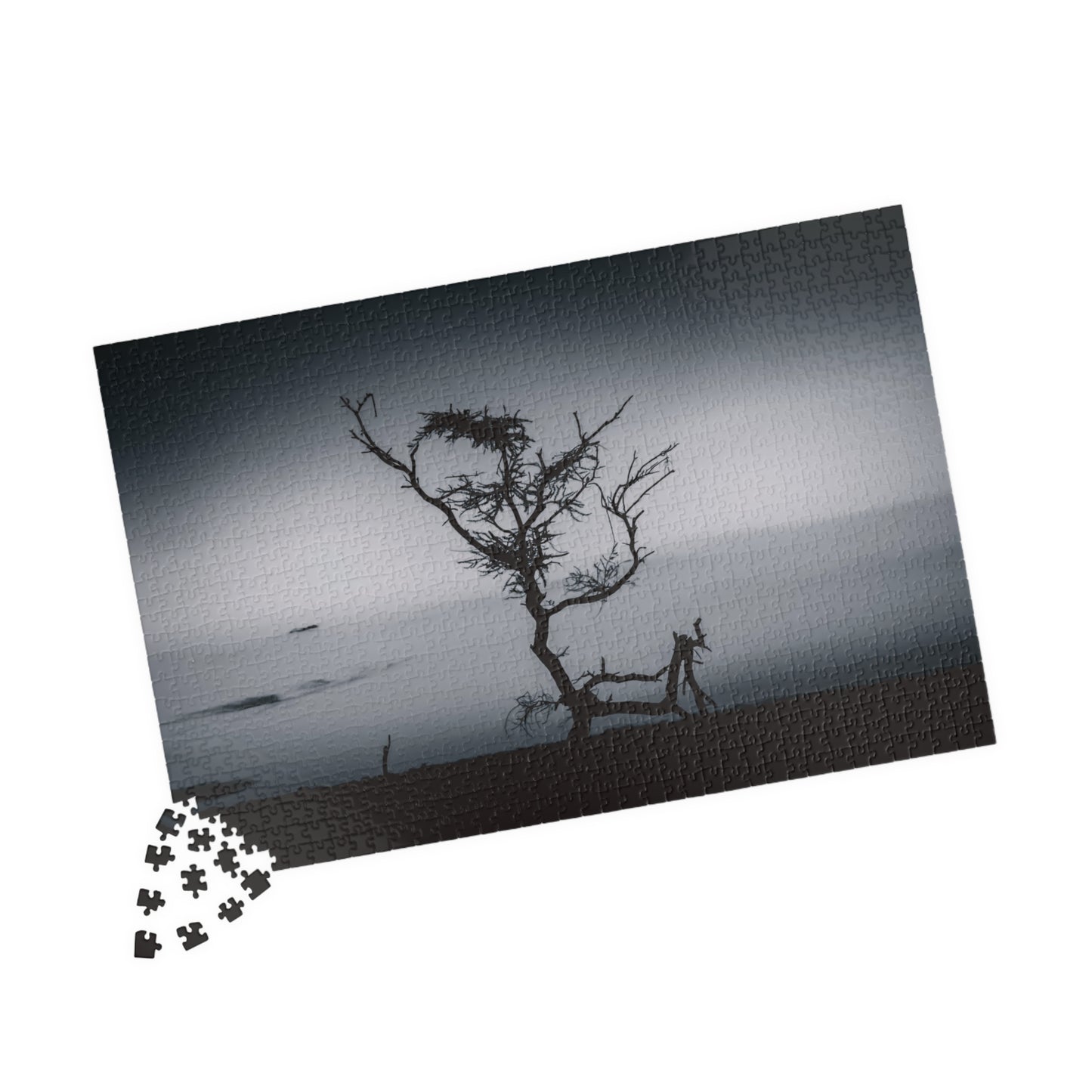 Kalahari Sunset Jigsaw Puzzle B&W 1014 pcs (Horizontal)