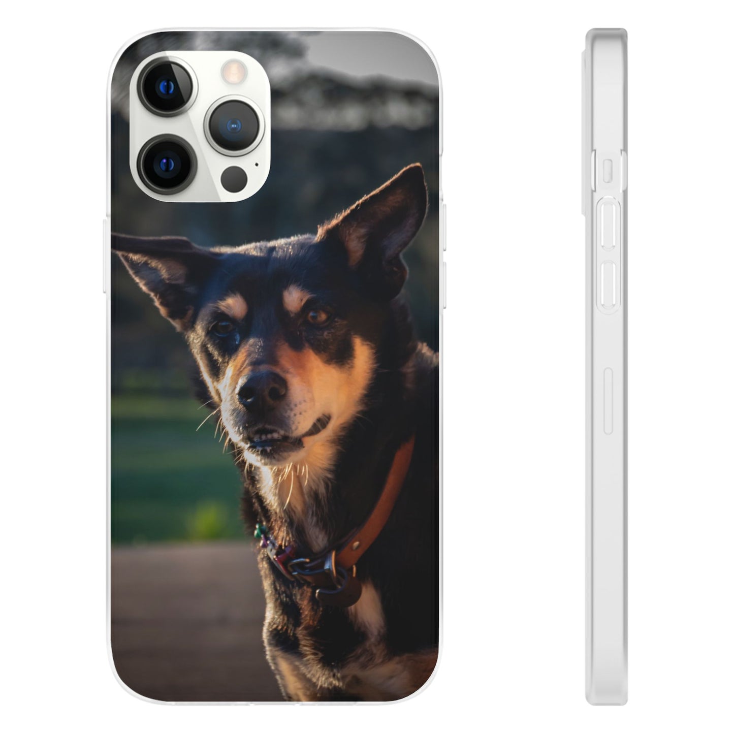 Kelpie Dog Flexi Case iPhone 12 Pro Max with gift packaging