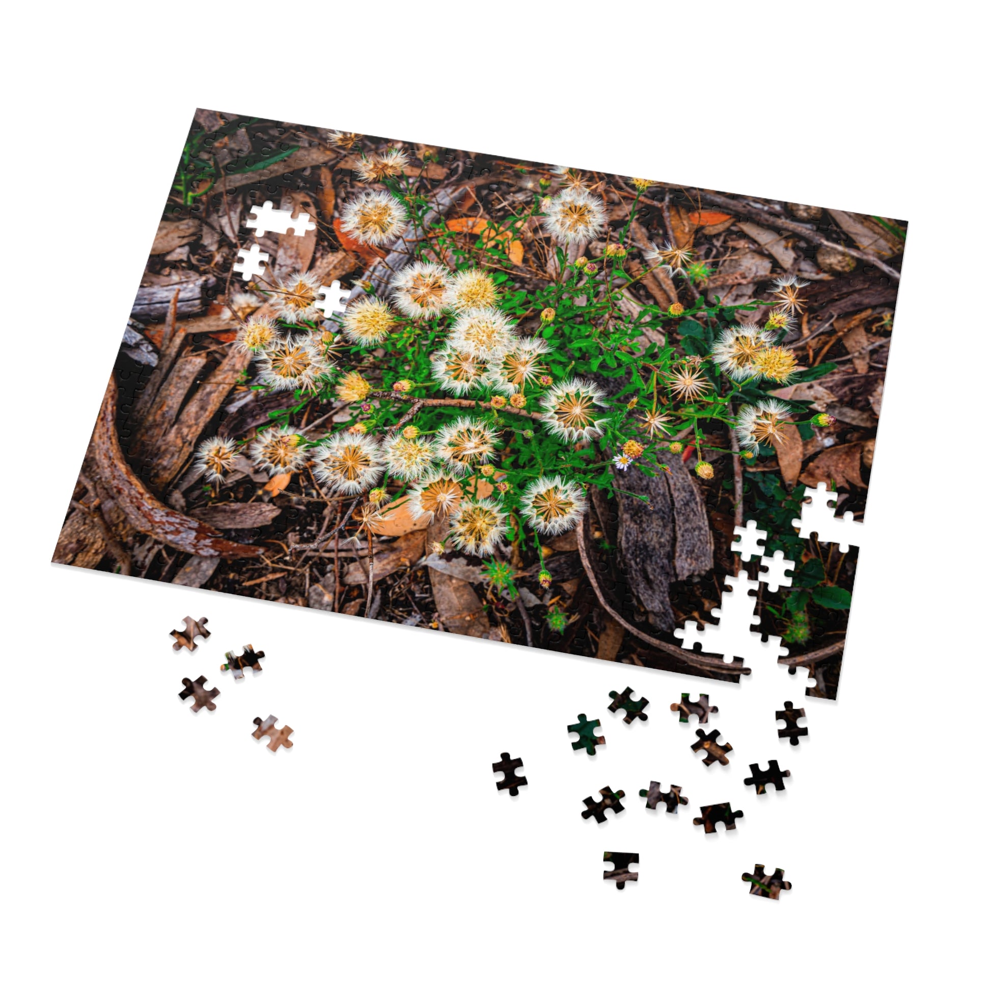 Australian Wildflower Jigsaw Puzzle 2000 piece