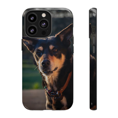 Tough Case - Saba the Kelpie iPhone 13 Pro Glossy