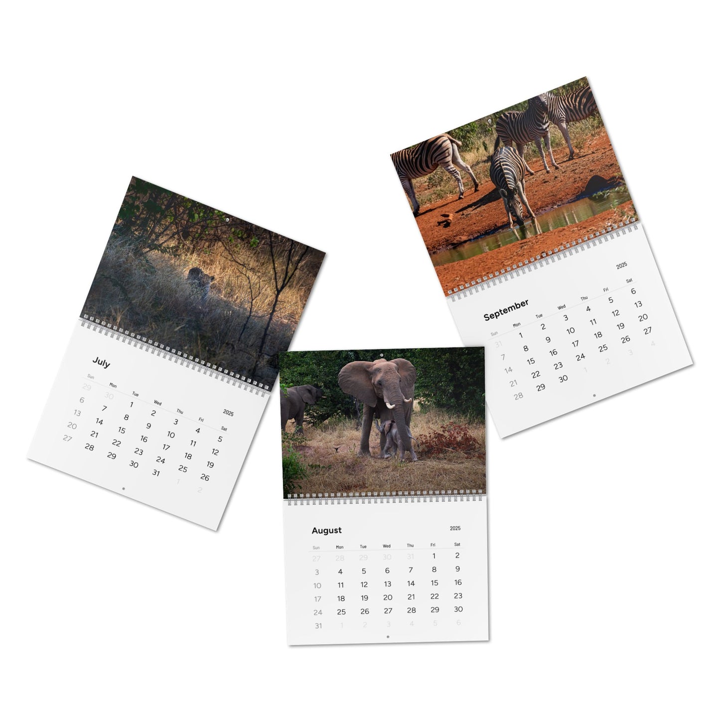 2025 Nature Wildlife Wall Calendar