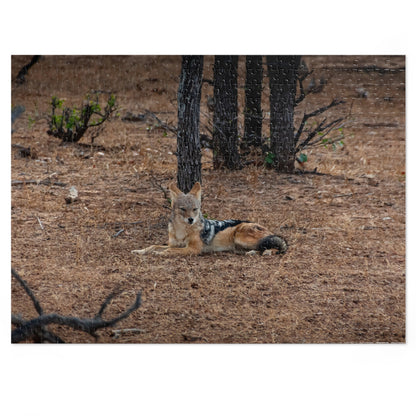 Jigsaw Puzzle (30, 110, 252, 500, 1000 Piece) - Black Backed Jackal