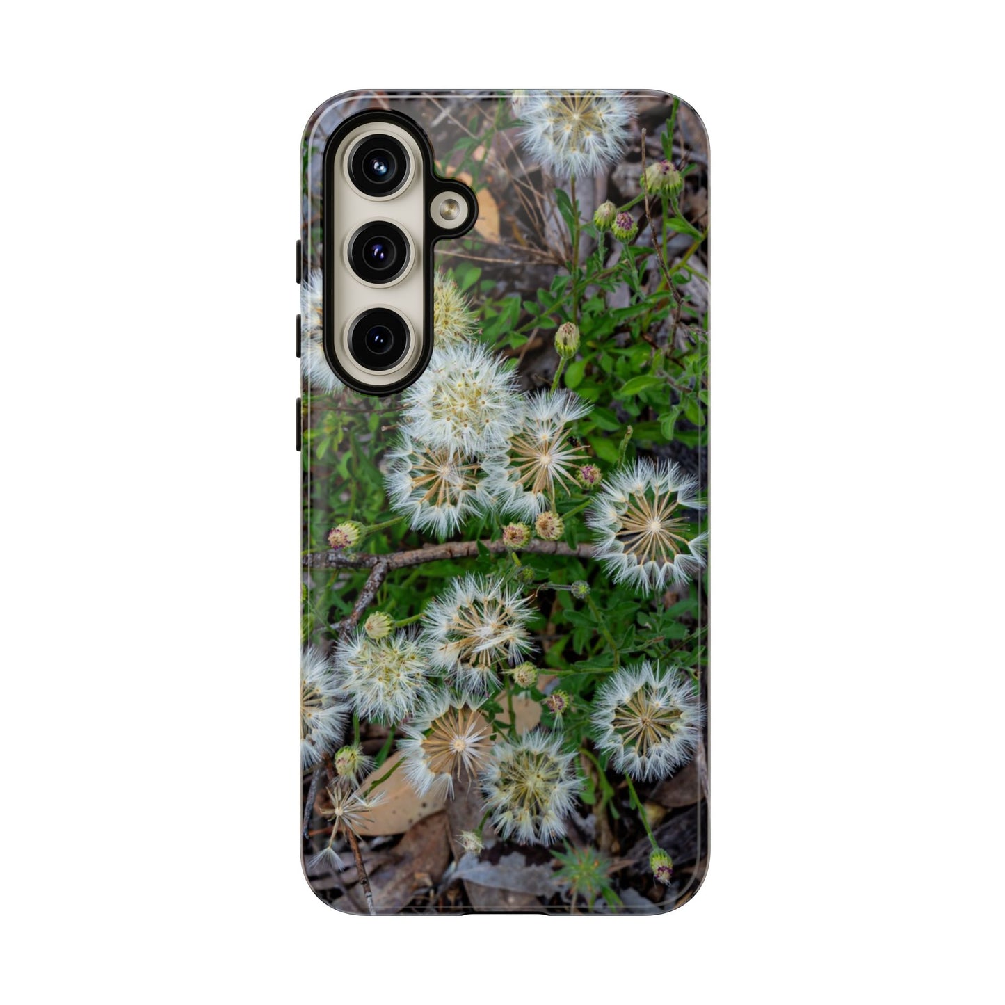 Wildflower Phone Case Australia Samsung Galaxy S24 Plus Glossy