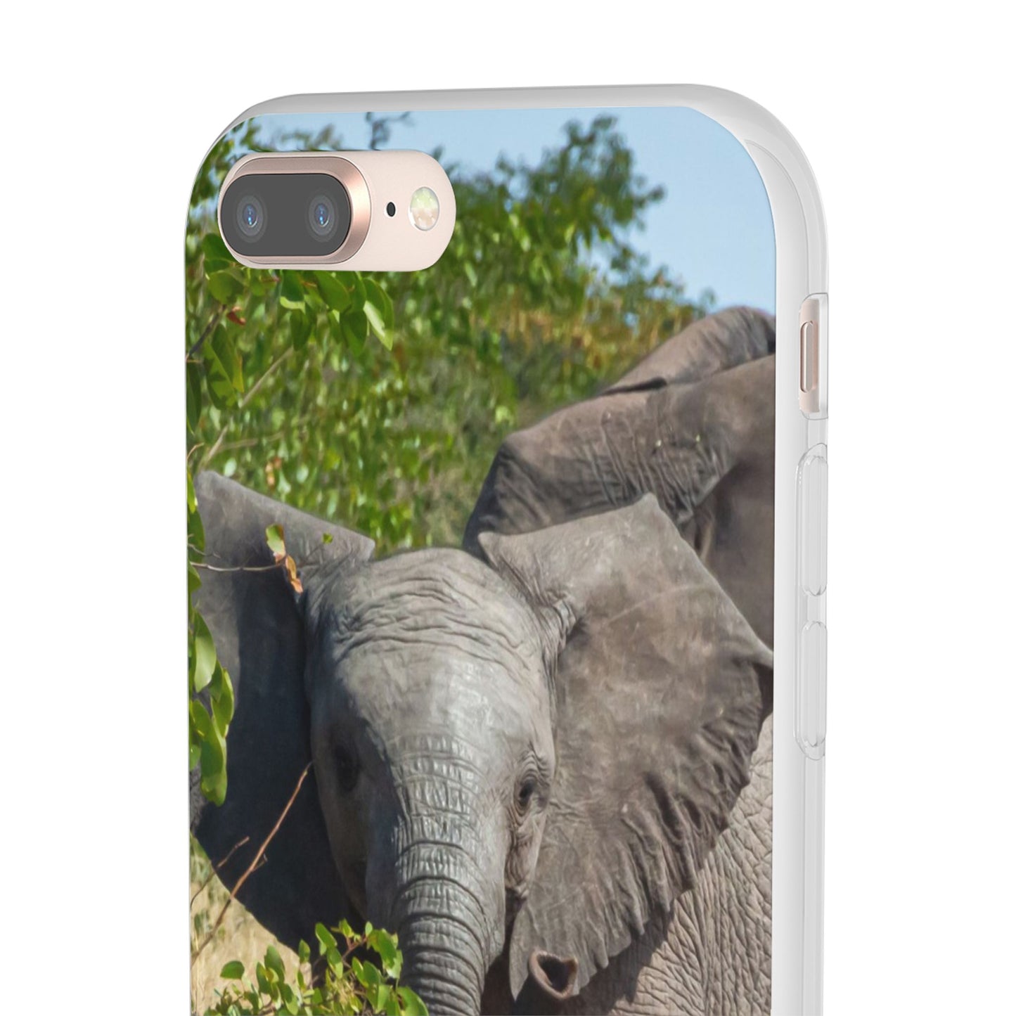 Flexi Cases - Young Elephant