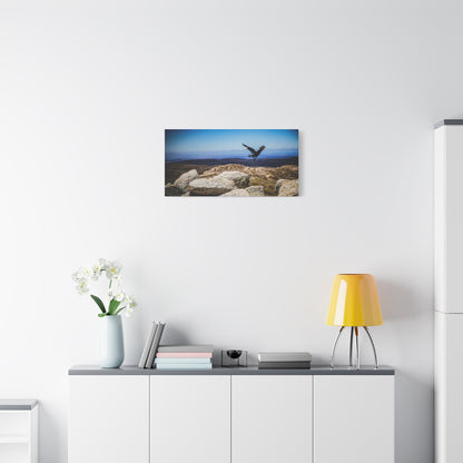 Little Raven Mt Kosciuszko Canvas Print