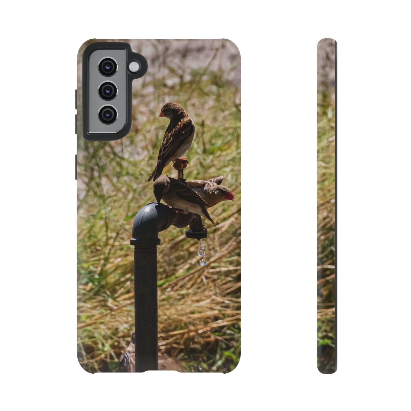 Tough Case - Birds at A Dripping Tap Samsung Galaxy S21 Plus Matte