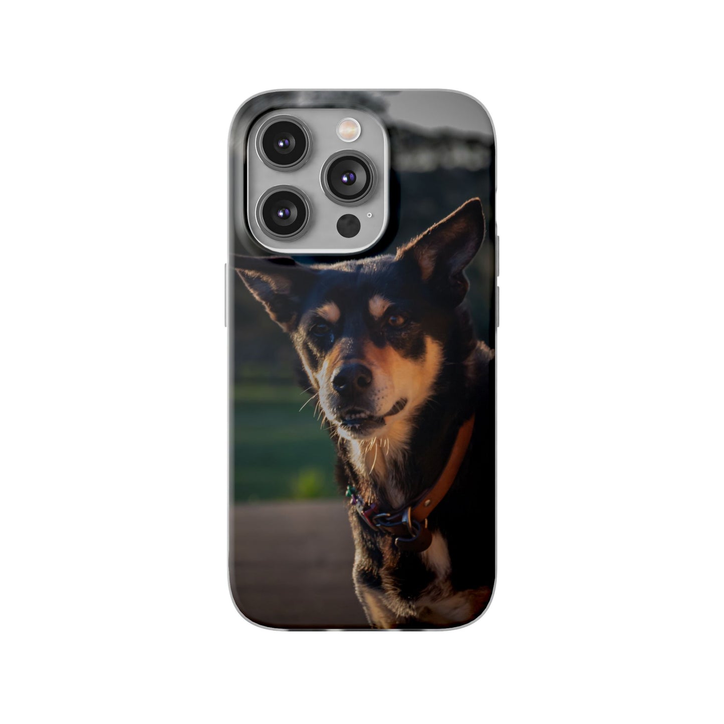 Kelpie Dog Flexi Case iPhone 14 Pro