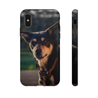 Tough Case - Saba the Kelpie iPhone XS Glossy