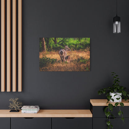 Waterbuck Nature Prints Matte Canvas