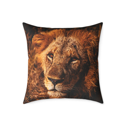 Old Lion Pillow 24" × 24"