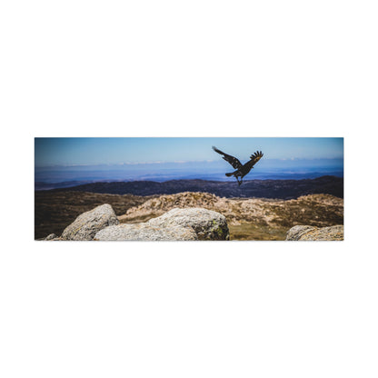 Little Raven Mt Kosciuszko Canvas Print 60" x 20" (Horizontal) 1.25"