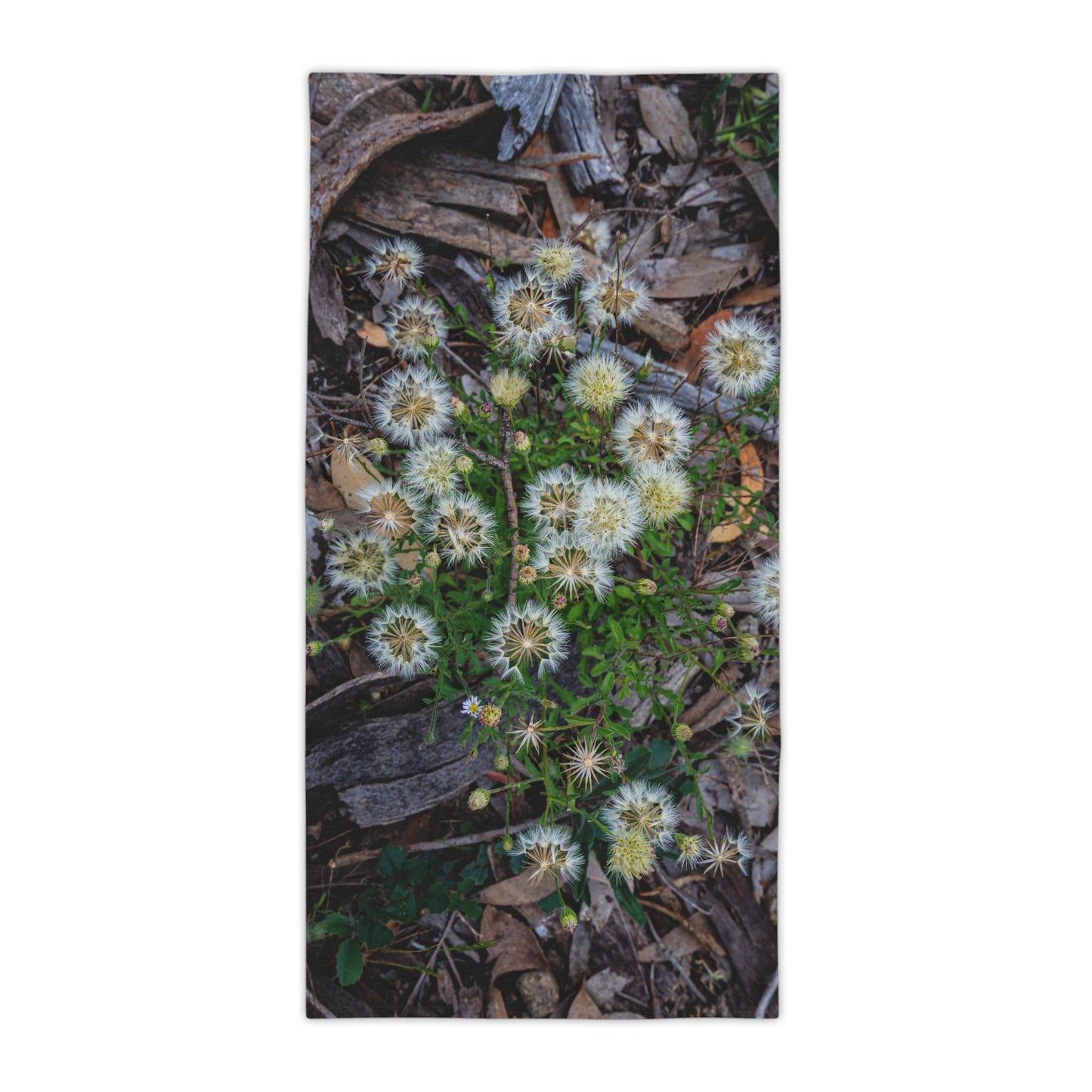 Beach Towels - Australian Wildflower Collection