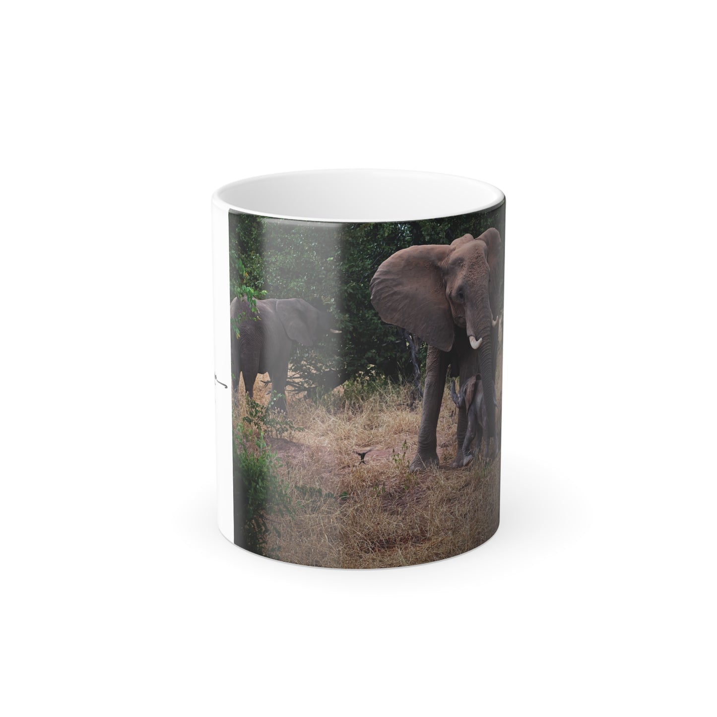 Colour Morphing Mug, 11oz - Elephant and Baby