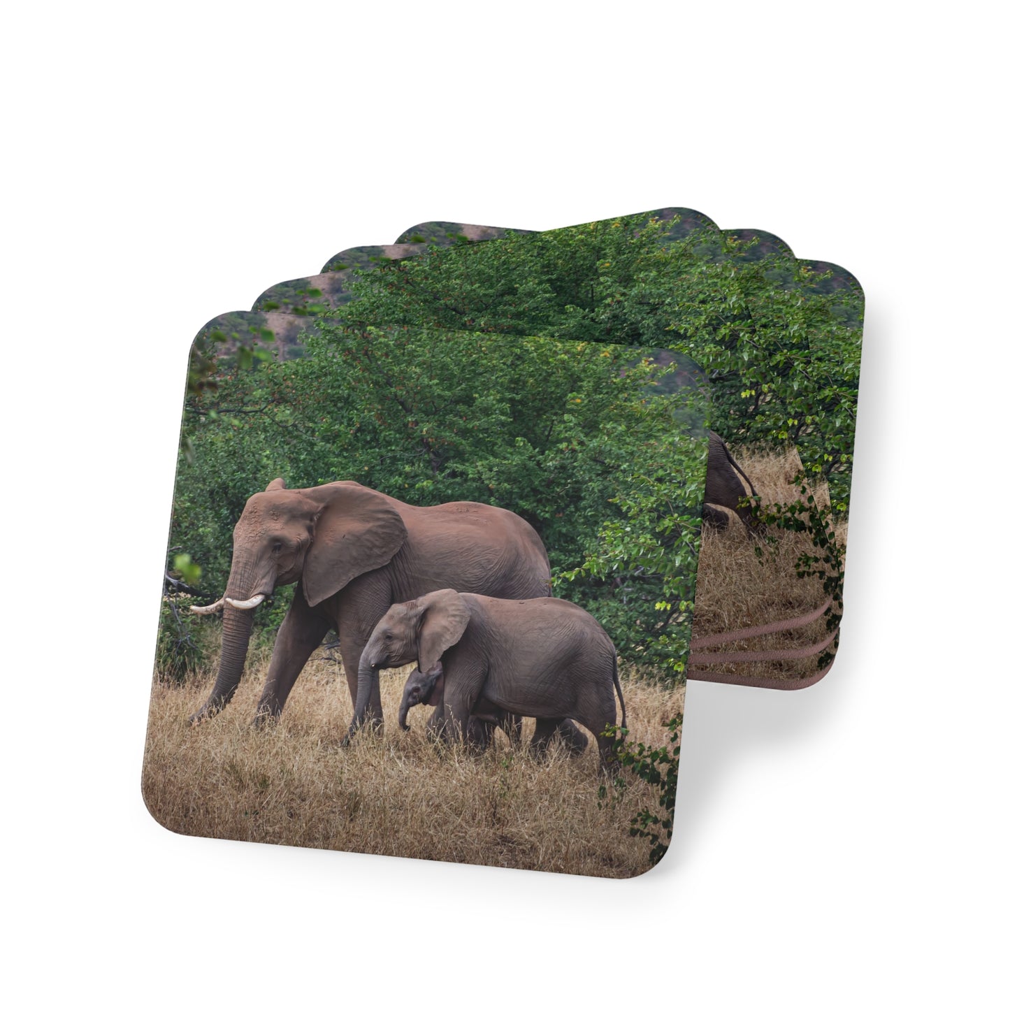 Family of Elephants Coasters Square 3.7" x 3.7" 4pcs