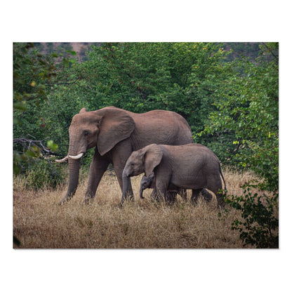 Jigsaw Puzzle (30, 110, 252, 500, 1000 Piece) - Elephant Family