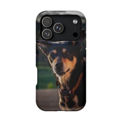 Magsafe® Compatible Tough Cases - Saba The Kelpie iPhone 17 Pro Matte
