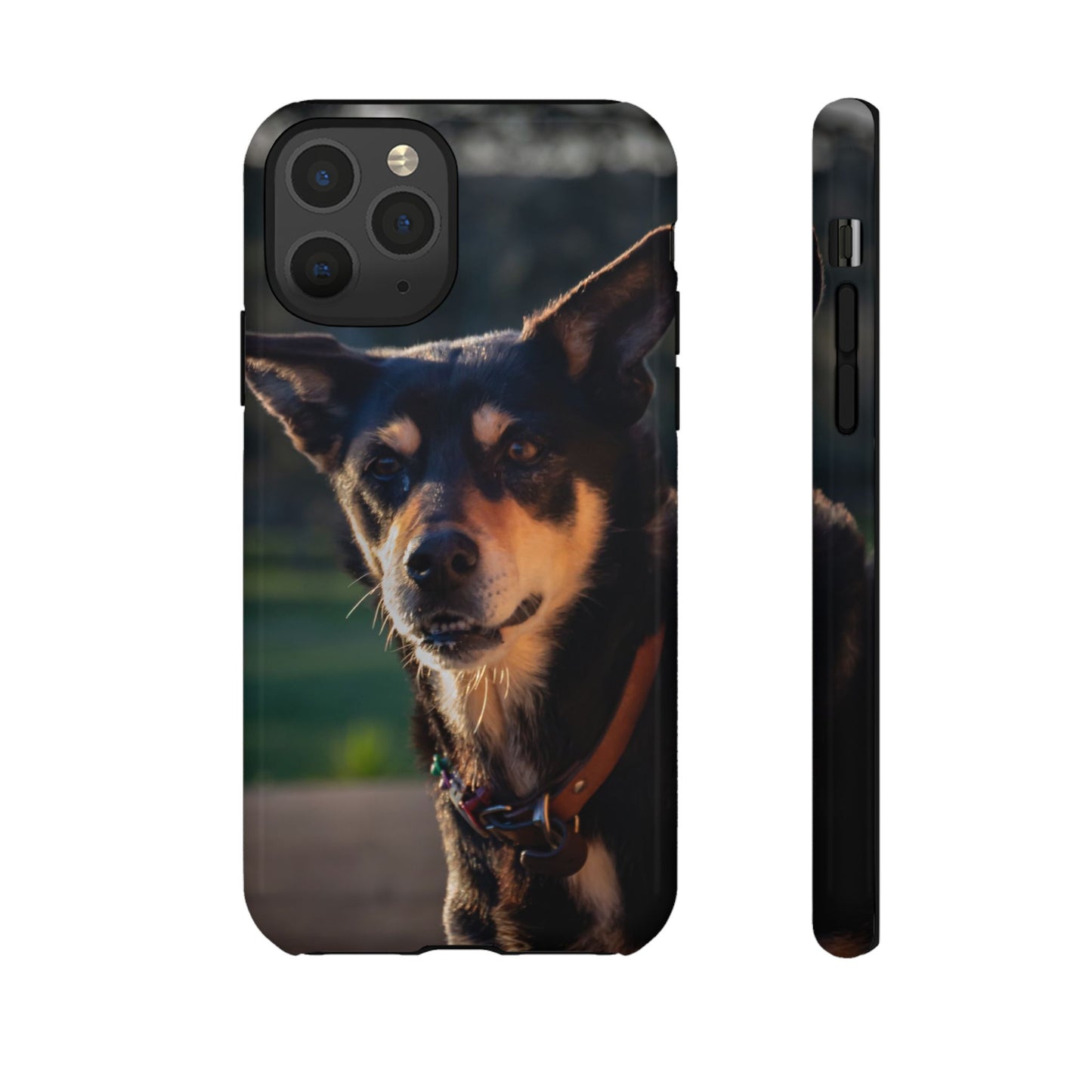 Tough Case - Saba the Kelpie iPhone 11 Pro Glossy