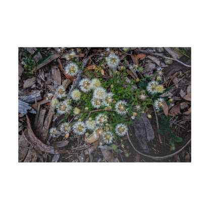 Australian Wildflower Jigsaw Puzzle