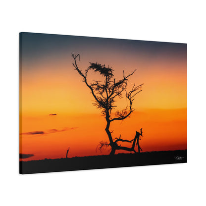 Matte Canvas, Stretched, 1.25" - Sunset over the Kalahari