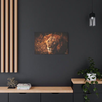 Old Lion Canvas Print