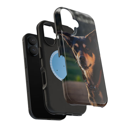 Magsafe® Compatible Tough Cases - Saba The Kelpie