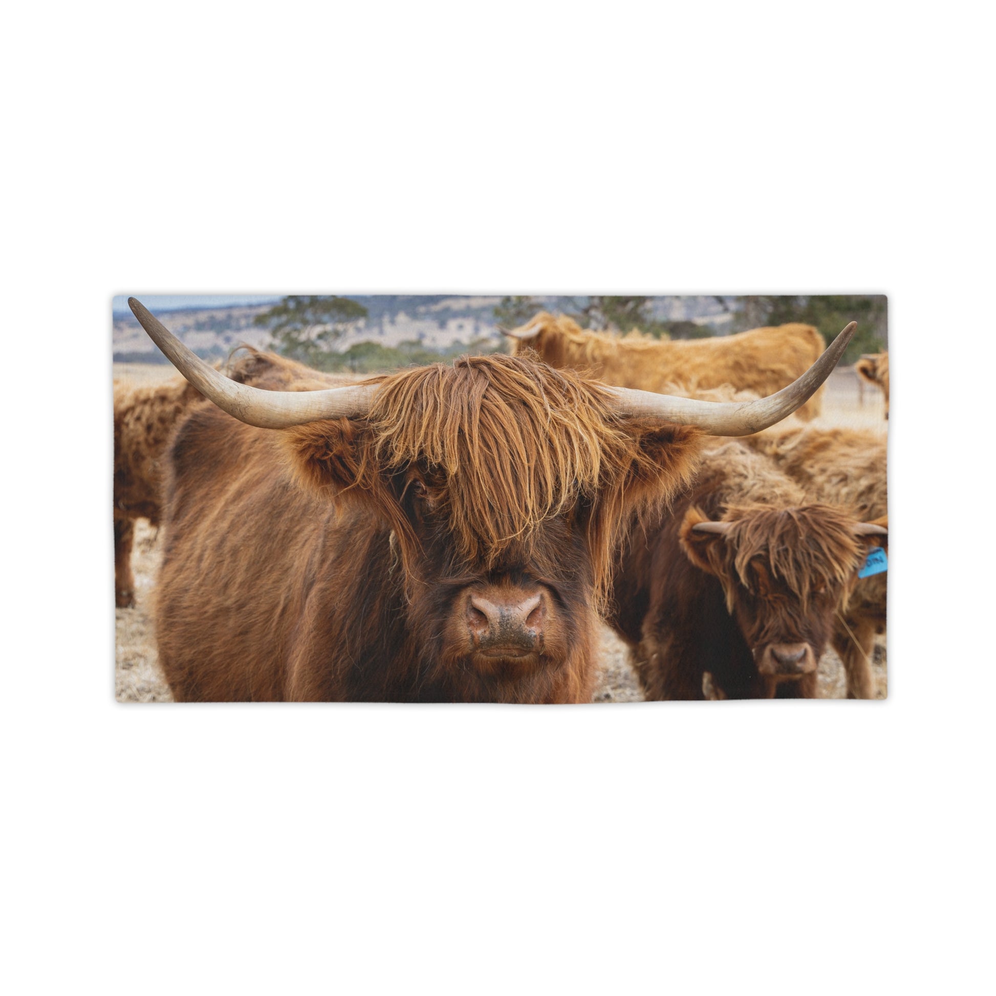 Scottish Highland Beach Towels