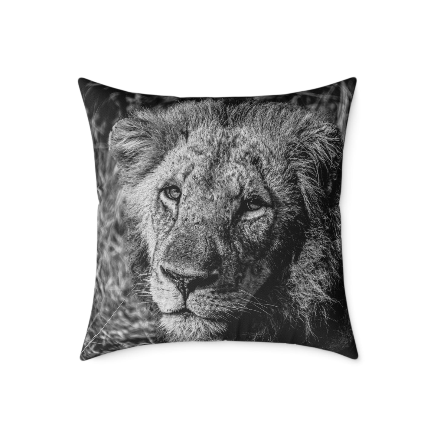 Old Lion Pillow B&W 24" × 24"