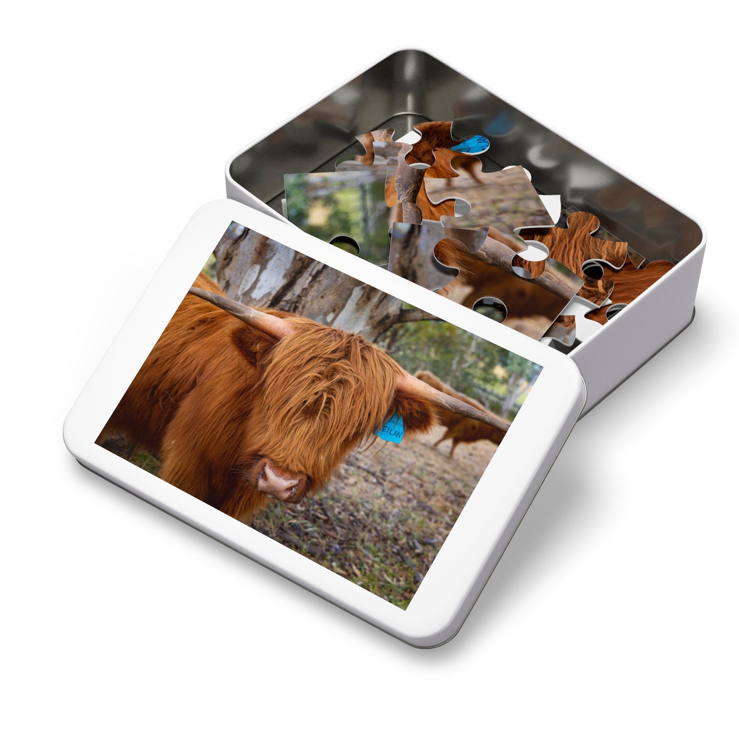 Scottish Highland Cattle Puzzle with Tin