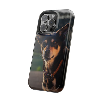 Magsafe® Compatible Tough Cases - Saba The Kelpie