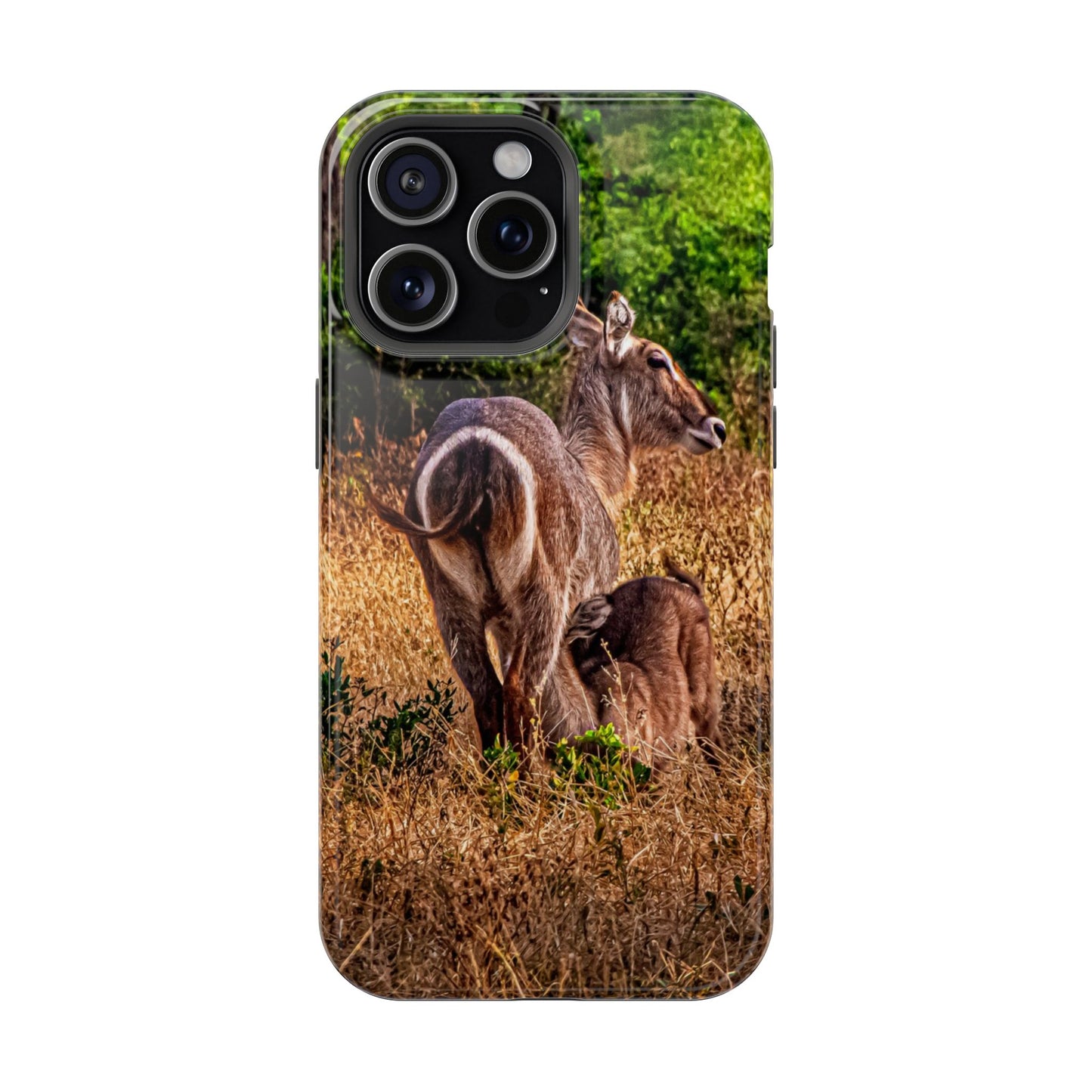 Waterbuck Baby Animal Phone Case - Magsafe iPhone 15 Pro Max Glossy