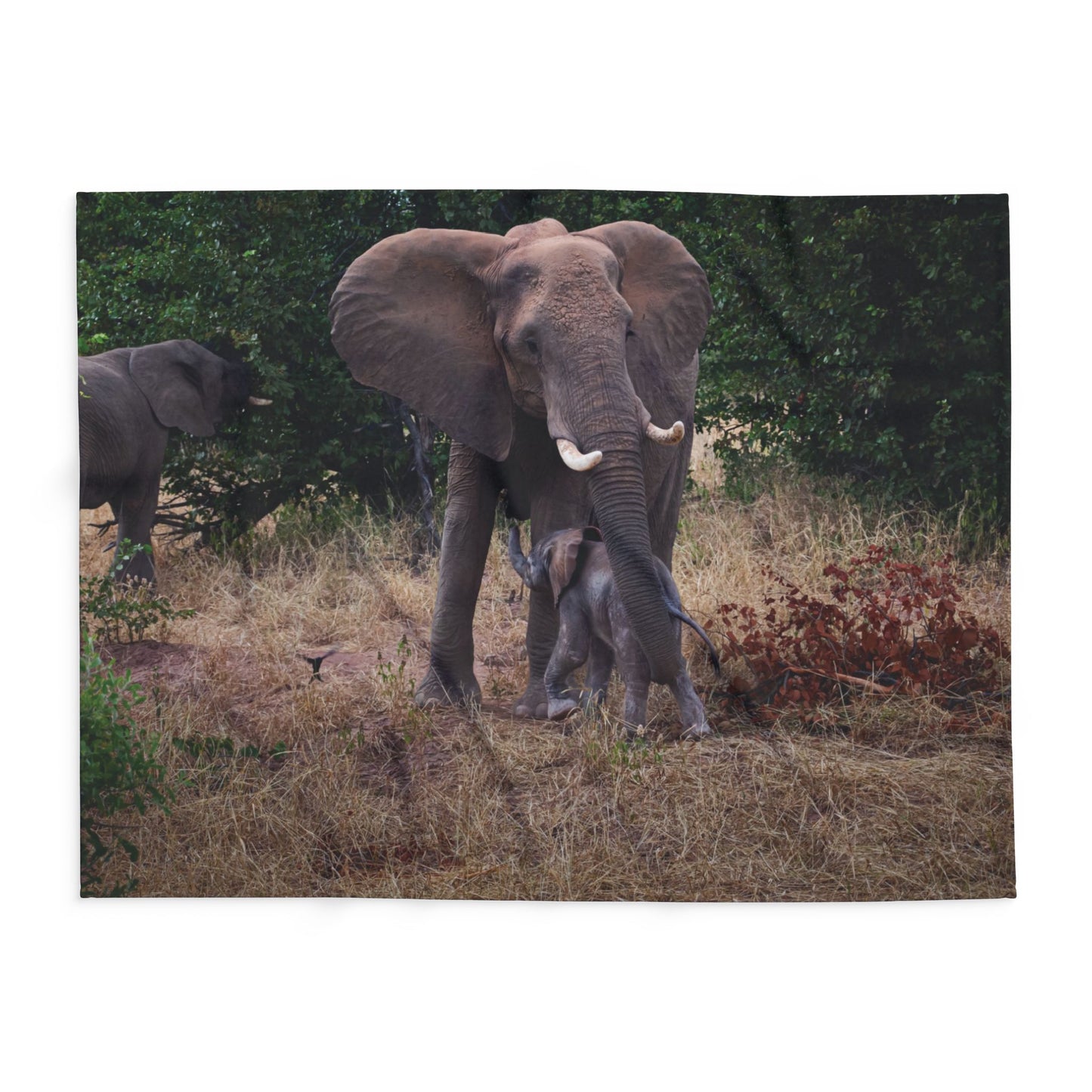 Arctic Fleece Blanket - Elephant and Baby