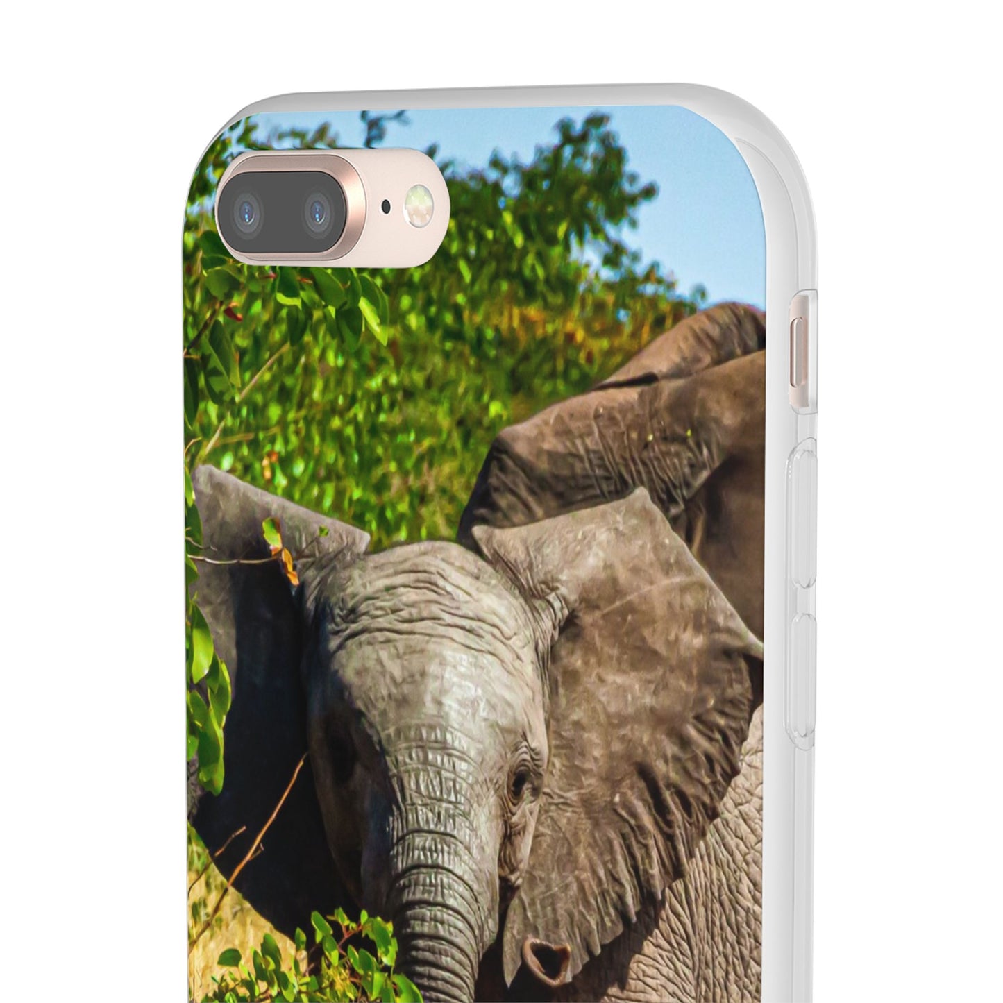 Flexible Young Elephant Cases