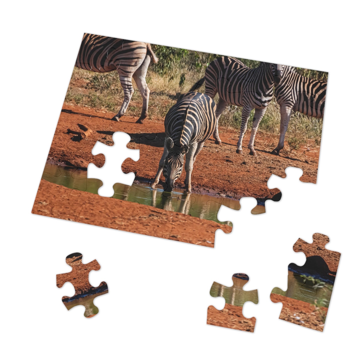 Jigsaw Puzzle (30, 110, 252, 500, 1000 Piece) - Zebra at Waterhole