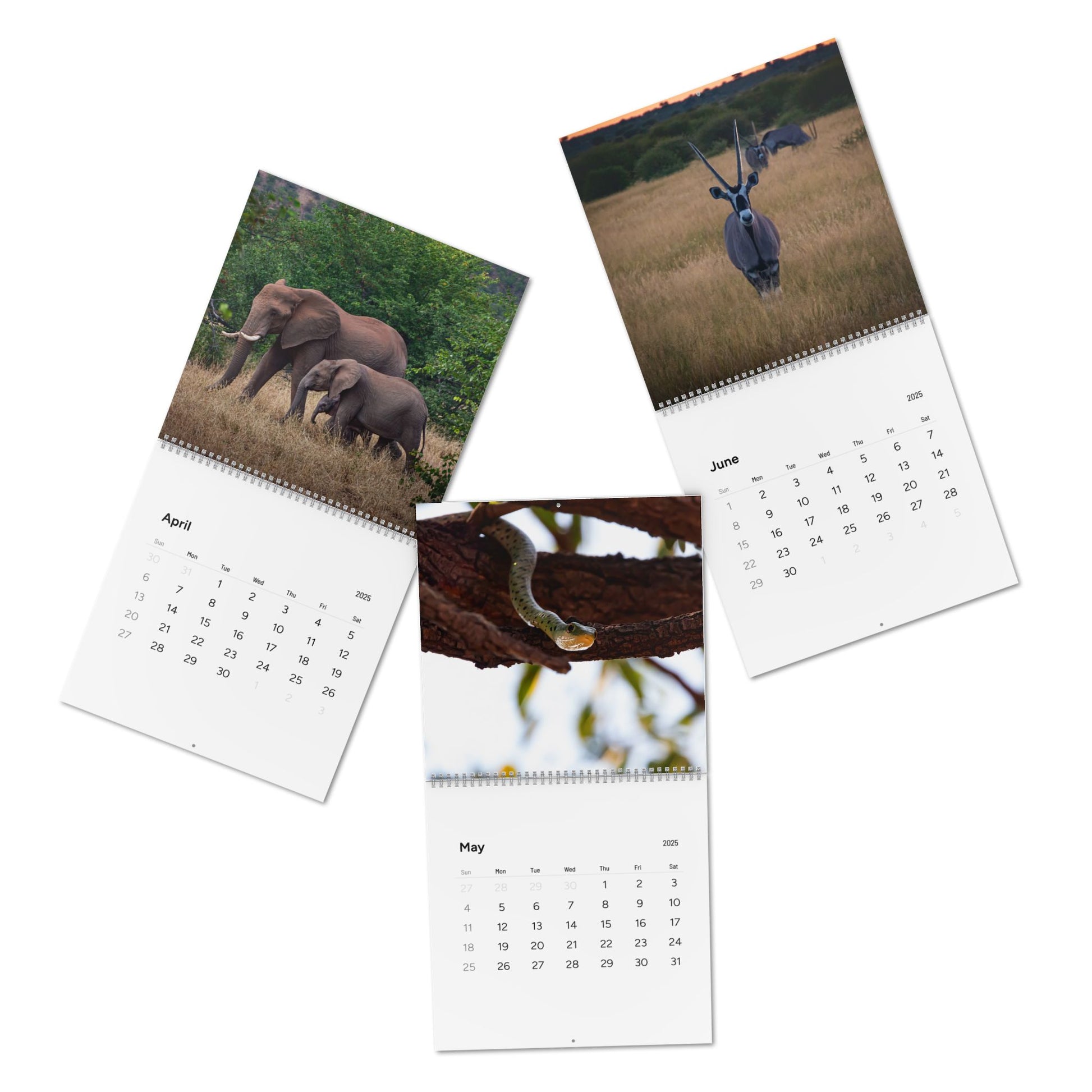 2025 Nature Wildlife Wall Calendar