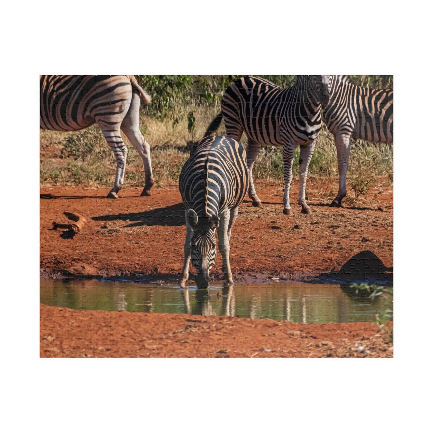 Puzzle (110, 252, 520, 1014-piece) - Zebra Drinking